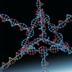 Biomedicine Update: Nanomedicine Targets Genes in Cancer Cells
