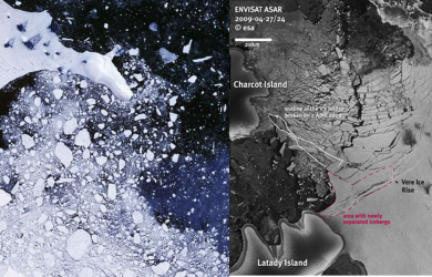 Larsen B and Wilins ice shelf collapse