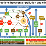 Urban Landscapes Update: Megacities Impose Health Challenge for Developing World
