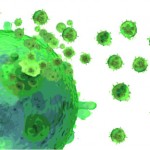 Biomedicine Update: Cd Proteins And What We Are Learning