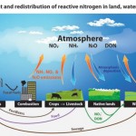 Environment Update: Nitrogen Pollution as Problematic as CO2
