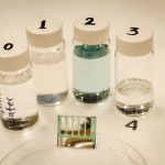 Energy Update: New Organic Solar Cell Mimics What Plants Do But Conversion Efficiency Needs to Improve