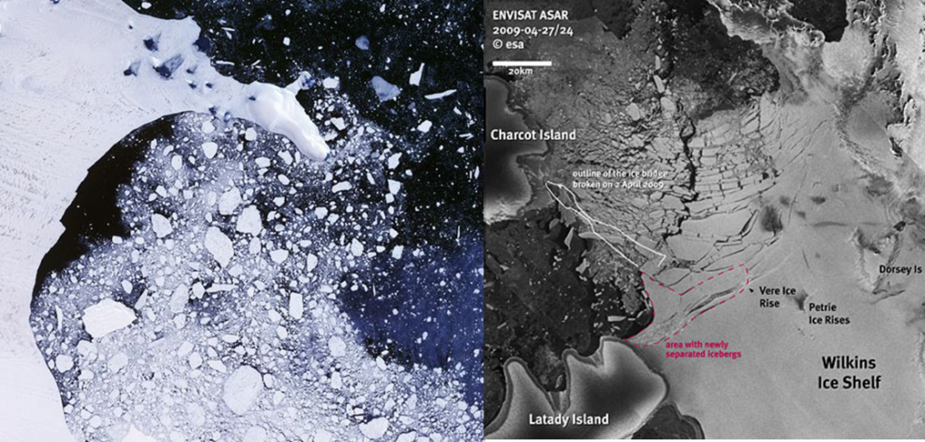 Larsen B and Wilins ice shelf collapse