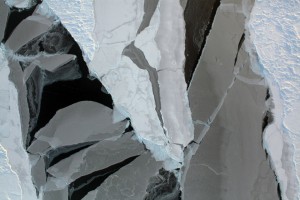 variable sea ice
