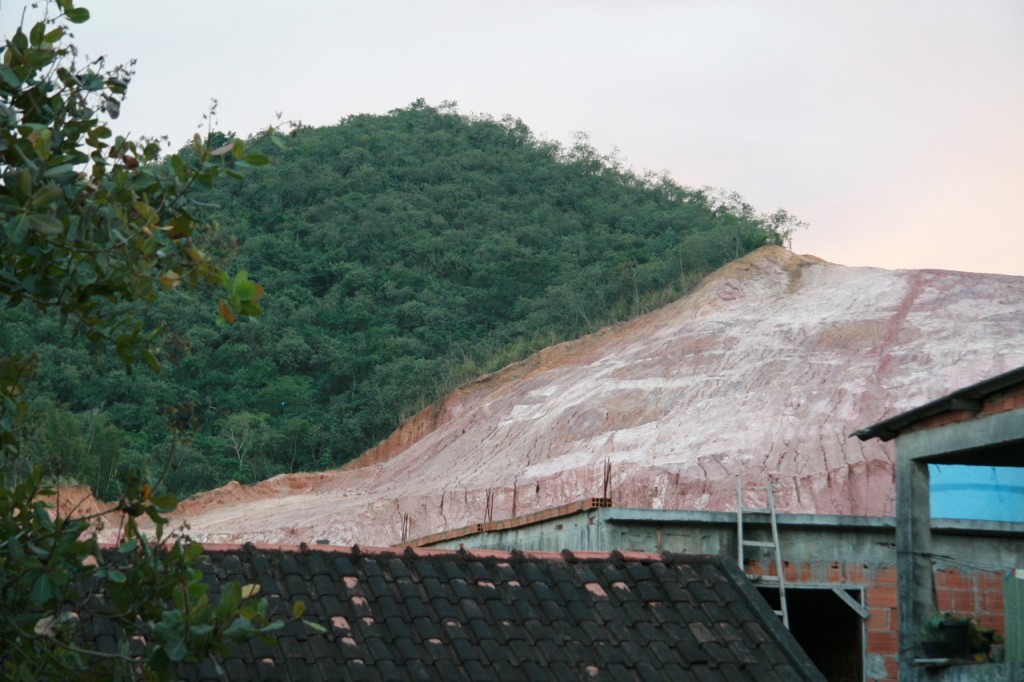 Cutting down tropical forests contributes to altered rainfall distribution globally