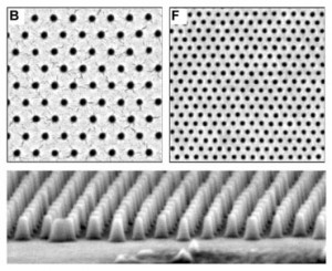 self-assembling-polymers