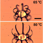 Micro-actuator