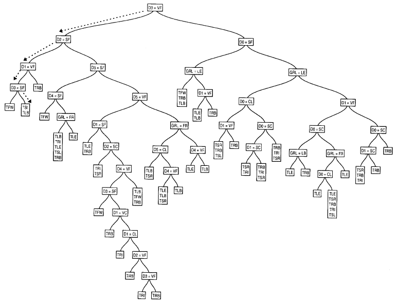 Artificial intelligence employs decision trees similar to the one depicted above to come up with diagnoses. Based on a patient's responses the program chooses different paths in its question and answer process.