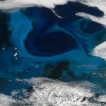 geoengineering-iron-plankton_16961_600x450