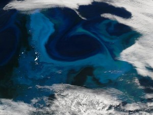 geoengineering-iron-plankton_16961_600x450