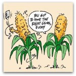 GMO cartoon2