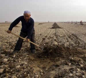 China dry field agriculture