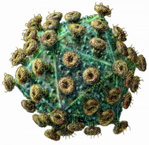 HIV_virus