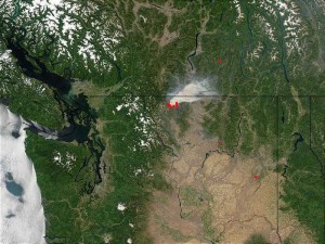 MODIS forest fire detection