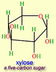 xylose