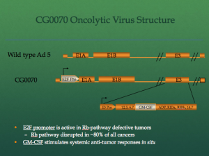 CG0070 virus structure