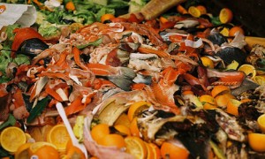 Food-waste_466