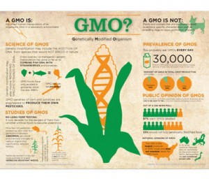 GMO-101