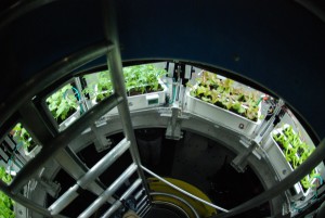 Atrium growing system view 1