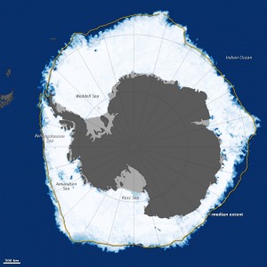 Antarctic sea ice 2013
