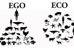 ego-eco-550x360