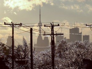 Ice Storm Day After