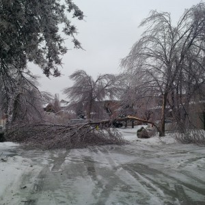 toronto-ice-storm-8-mark-kay