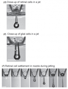 printing retinal cells with inkjet printer