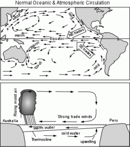 Normal ocean circulation