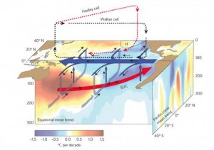 Pacific trade winds global warming stalls