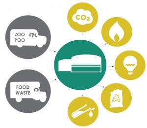 zoo poo biogas production