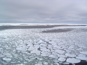 arctic sea ice 3