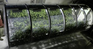 Are we 10 years away from being able to grow crops on Mars?