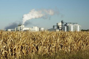 corn to ethanol