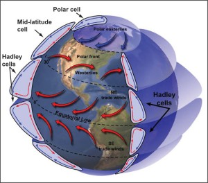 Hadley cells