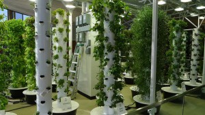 vertical_farming__48723