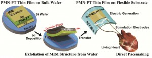 KAIR piezoelectric pacemaker