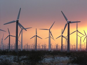 wind farm