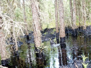 Bitumen Cold Lake oil spill