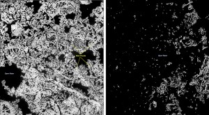 Submitted Evidence Of Global Warming From Satellite Imagery