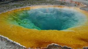 Extremophiles in hot springs
