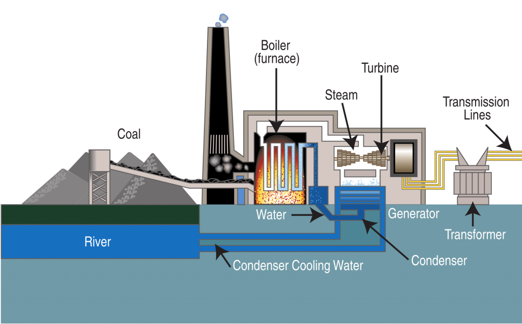 Coal-fired steam turbine power plant