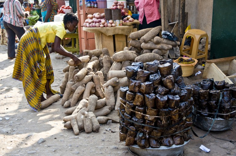 Anti-GMO Movement Hurting Developing World