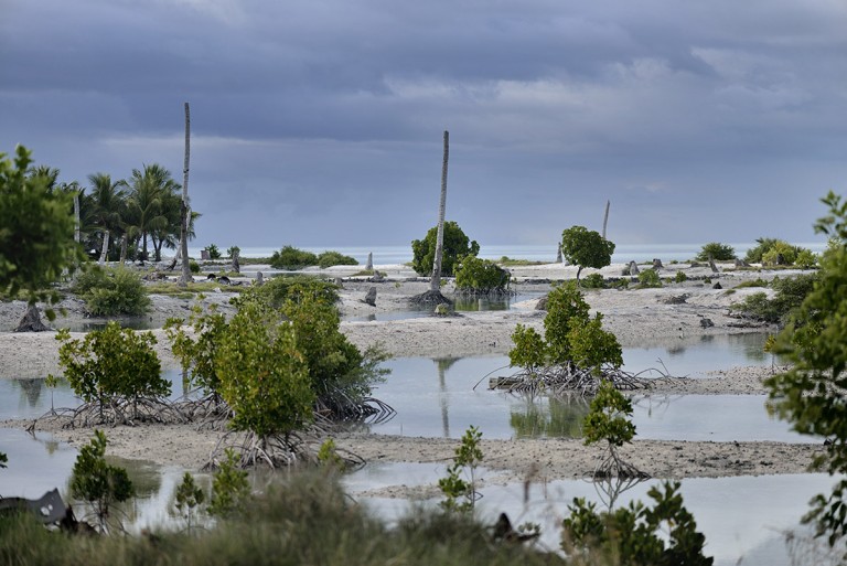 Kiribati to Begin Climate Change Migration in the Next Five Years