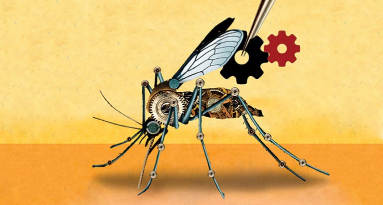 The Zika Virus, Malaria and Other Mosquito Delivered Diseases Adds Fuel to Science Sculpting Evolution
