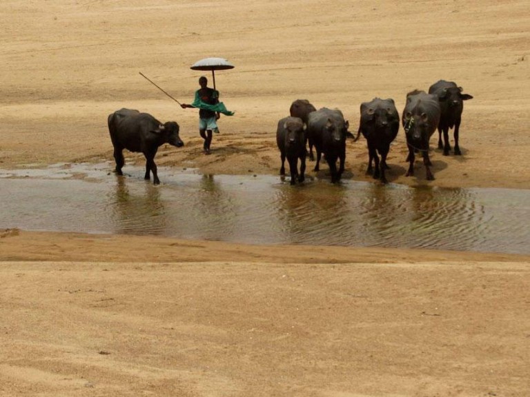 Hot and Hotter are the Two States of Climate the World is Experiencing These Days