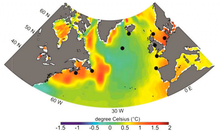 What’s Up with Our Oceans? – Seems Global Warming is Getting to Them Faster Than Expected