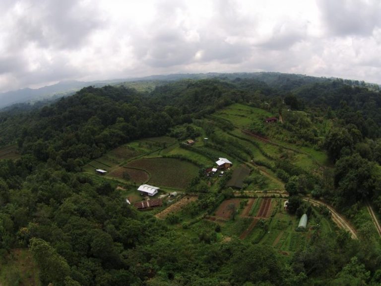 Reinventing Farming in a World Fighting Climate Change