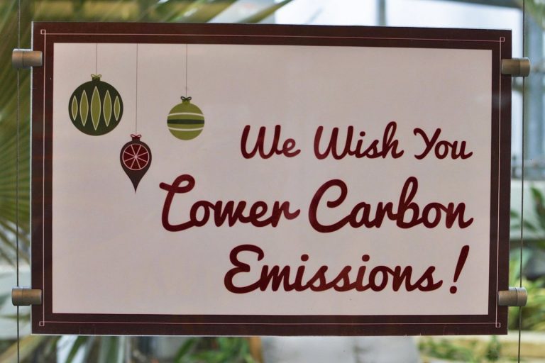 Can a Modern Economy Thrive on a Low Carbon Diet?