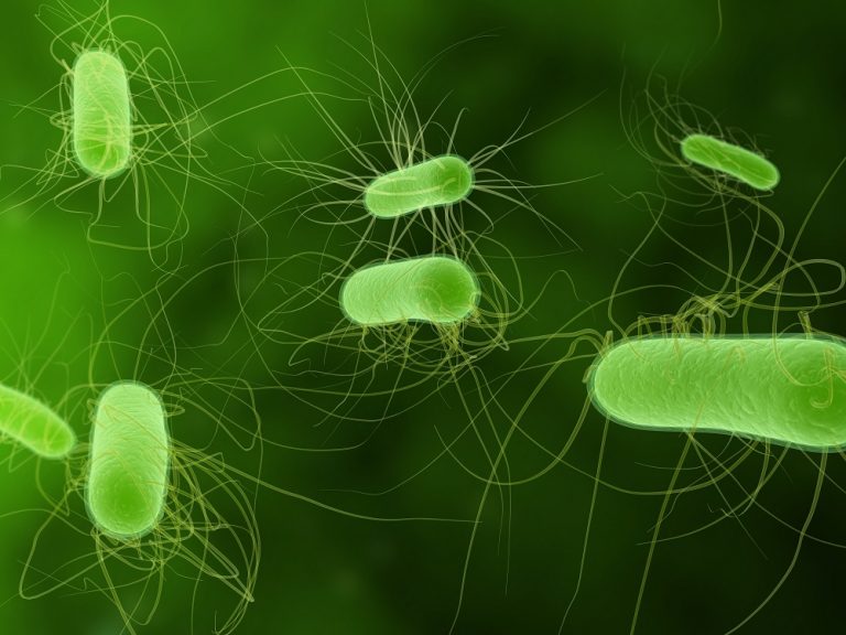 Biological Computing is Getting Closer to Reality